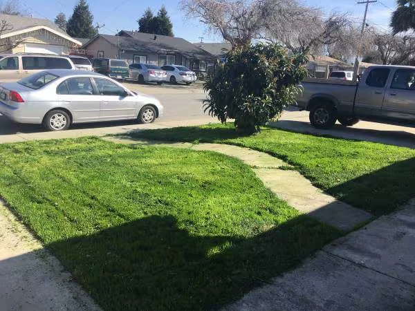 37215 Dondero Way Fremont, CA 94536 photo 2