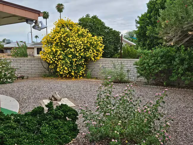 6322 E Des Moines St Mesa, AZ 85205 photo 5