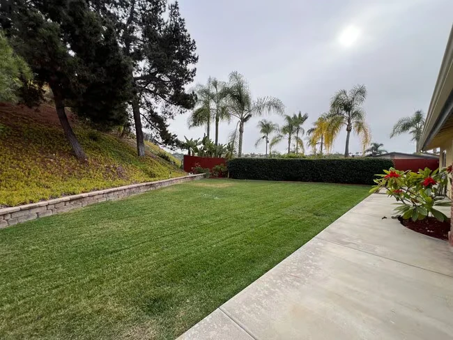 295 Camino Del Cerro Grande Bonita, CA 91902 photo 2