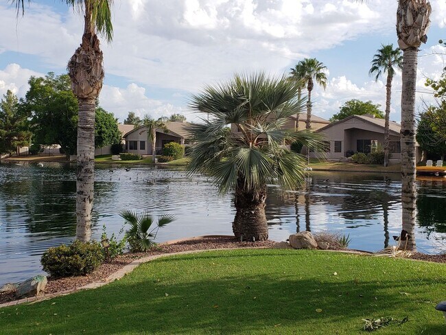 1552 W Mead Ct Chandler, AZ 85248 photo 5