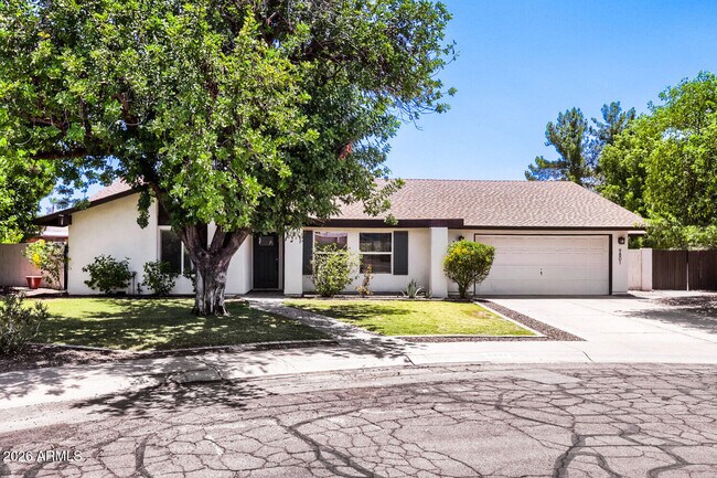 9801 N 74th Pl Scottsdale, AZ 85258 photo 2
