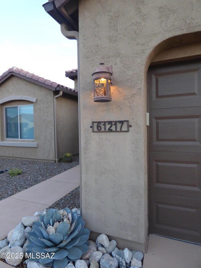 61217 E Arbor Basin Rd Oracle, AZ 85623 photo 3