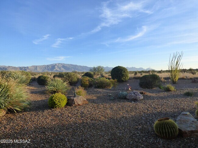 61217 E Arbor Basin Rd Oracle, AZ 85623 photo 2