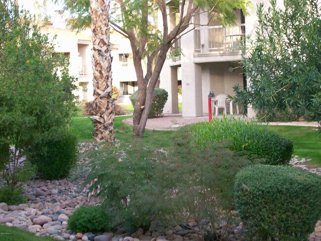 9445 N 94th Pl Scottsdale, AZ 85258 photo 4