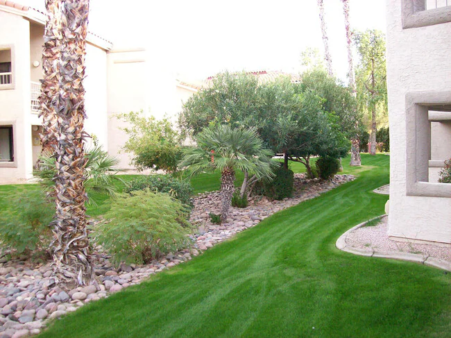 9445 N 94th Pl Scottsdale, AZ 85258 photo 5