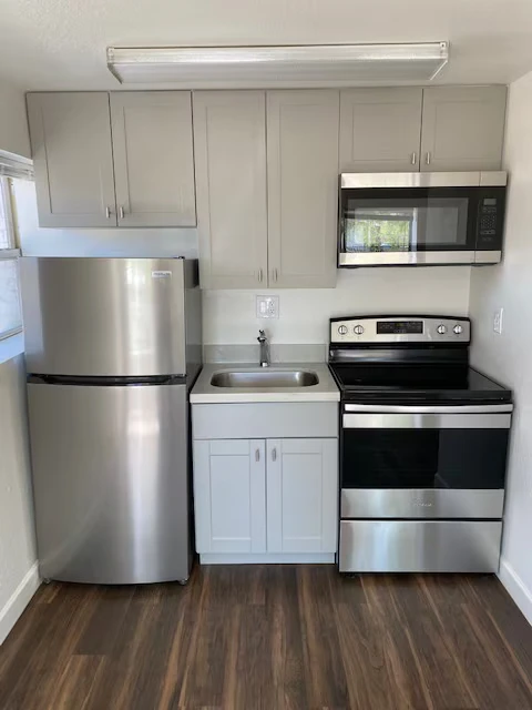 317 N 17th Dr Phoenix, AZ 85007 photo 3