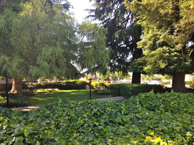 Peppertree Apartments photo 3