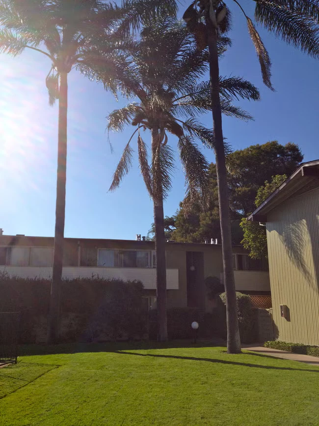 Peppertree Apartments photo 4