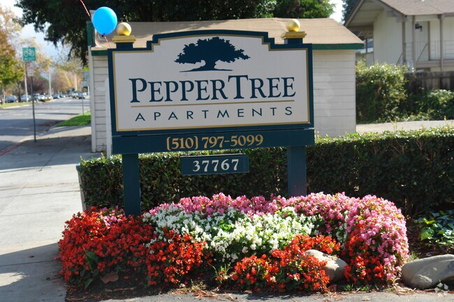 Peppertree Apartments photo 2