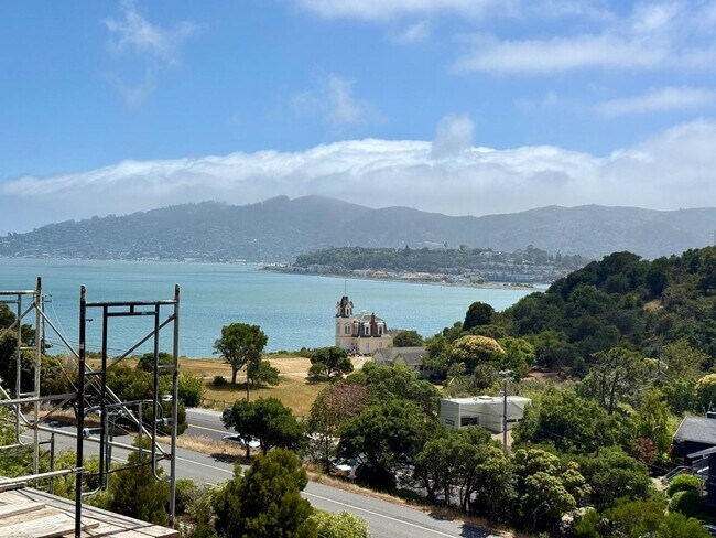 30 Andrew Dr Tiburon, CA 94920