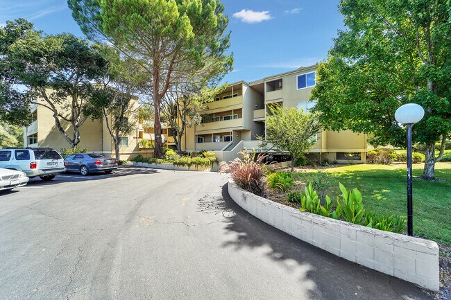 1453 Neotomas Ave Santa Rosa, CA 95405 photo 3