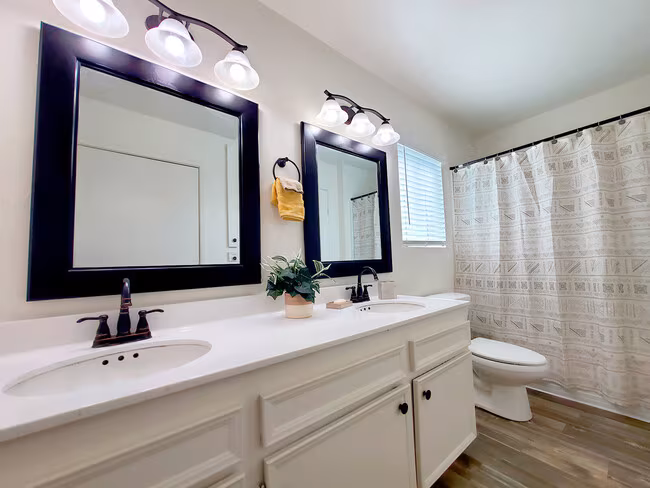 Alpine Terrace Apartments photo 5