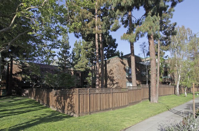 1BR/1BA Apartment on Lytton Ave · Palo Alto photo 5