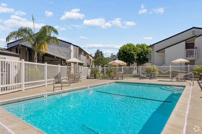 The Pines Apartments photo 3