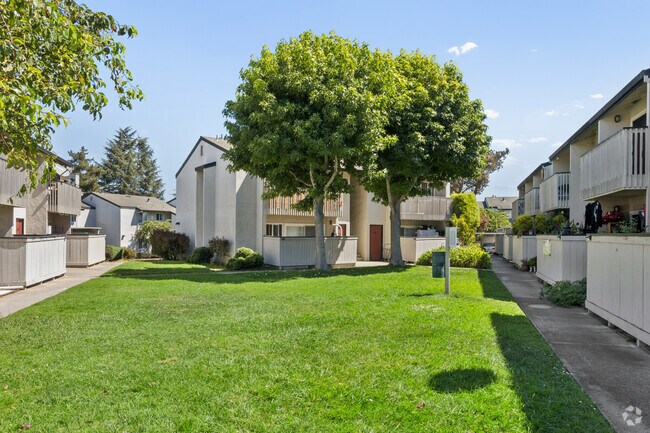 The Pines Apartments photo 2