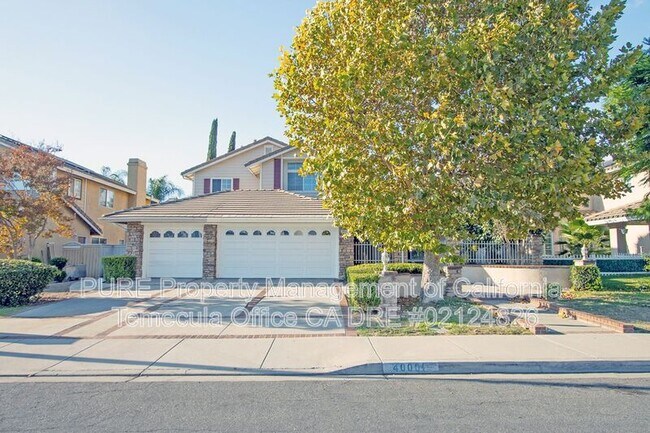 40001 Avenida Palizada Murrieta, CA 92563 photo 2