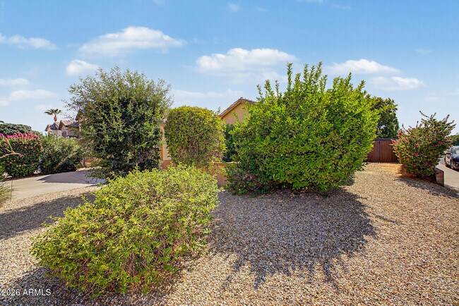16148 N 157th Dr Surprise, AZ 85374 photo 4