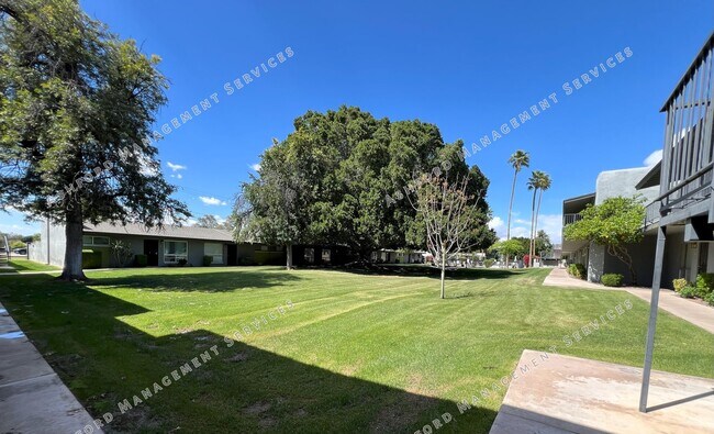 7141 N 16th St Phoenix, AZ 85020 photo 2