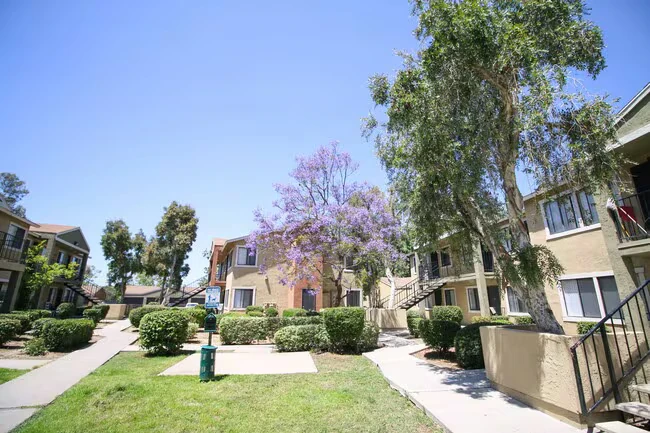 Creekside Villas Apartments photo 3
