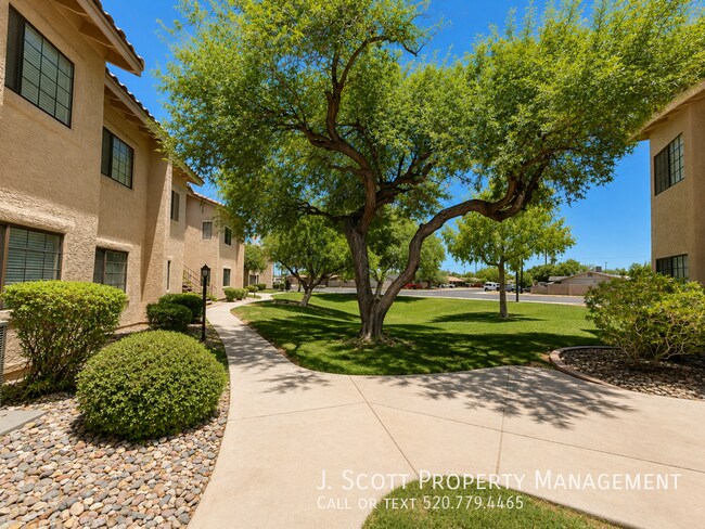 930 N Mesa Dr Mesa, AZ 85201