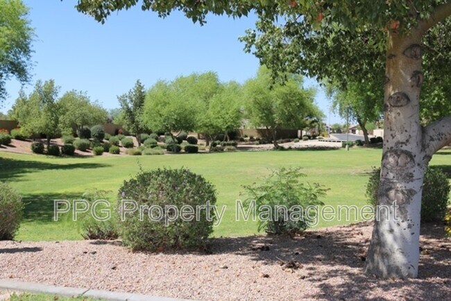2370 S Walnut Dr Chandler, AZ 85286 photo 3