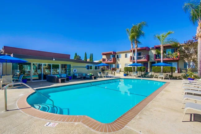 Mesa Vista Apartment Homes photo 3