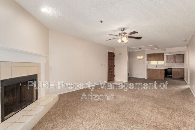 3031 N Civic Center Plaza Scottsdale, AZ 85251 photo 3
