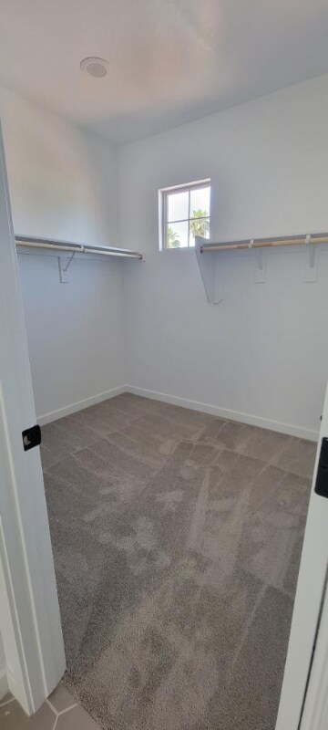 6408 N 17th Pl Phoenix, AZ 85016 photo 3