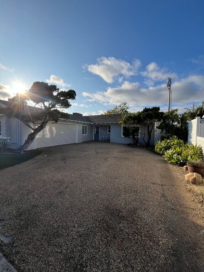 151 Alder St photo 5