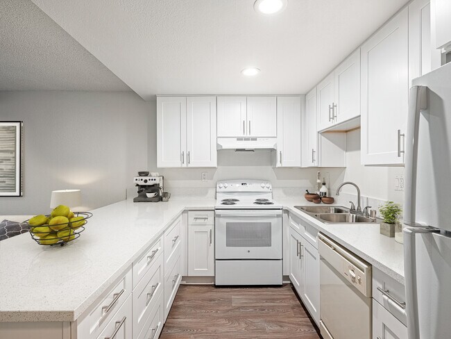 Aztec Campus Apartments *Parking Included* photo 3
