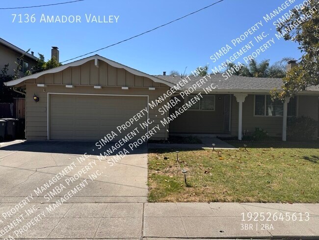 7136 Amador Valley Blvd photo 2