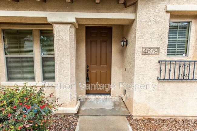 4679 E Claxton Ave Gilbert, AZ 85297 photo 5