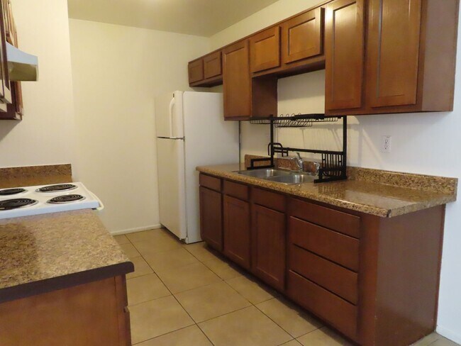 815 E 4th Pl Mesa, AZ 85203 photo 5