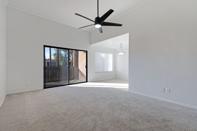 3600 Hayden Rd Scottsdale, AZ 85251 photo 4