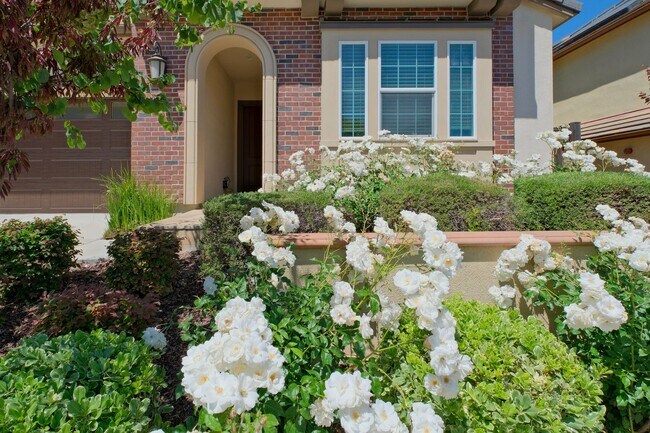 6536 Terrace Ridge Court, Dublin, CA 94568 photo 3