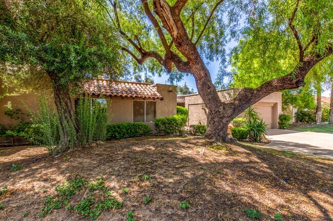 7207 E Solano Dr Scottsdale, AZ 85250 photo 5