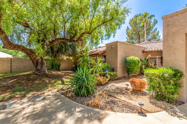 7207 E Solano Dr Scottsdale, AZ 85250 photo 2