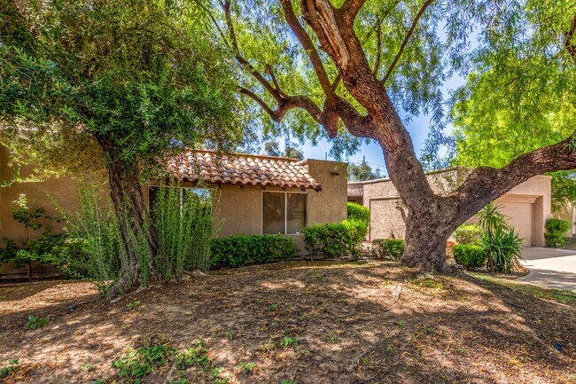 7207 E Solano Dr Scottsdale, AZ 85250 photo 4