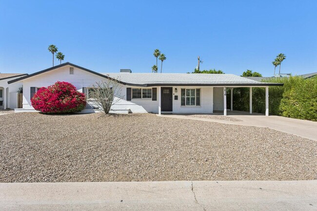 7616 E 3rd St Scottsdale, AZ 85251 photo 3