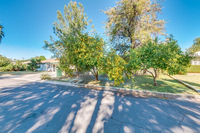 526 E Flynn Ln Phoenix, AZ 85012 photo 3
