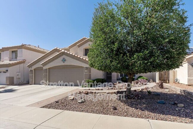 11530 W Palm Brook Dr Avondale, AZ 85392 photo 5