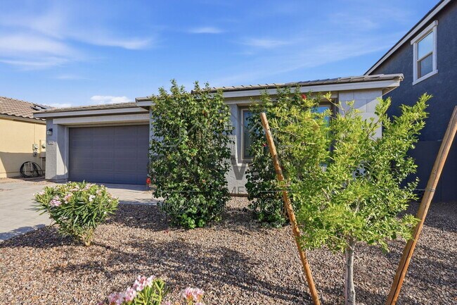 11253 E Ulysses Ave Mesa, AZ 85212 photo 3