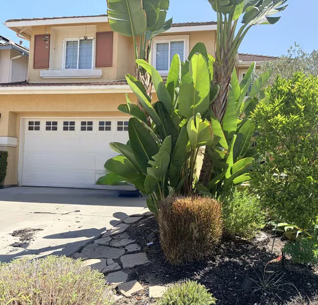 545 Sonoma St San Marcos, CA 92078 photo 2