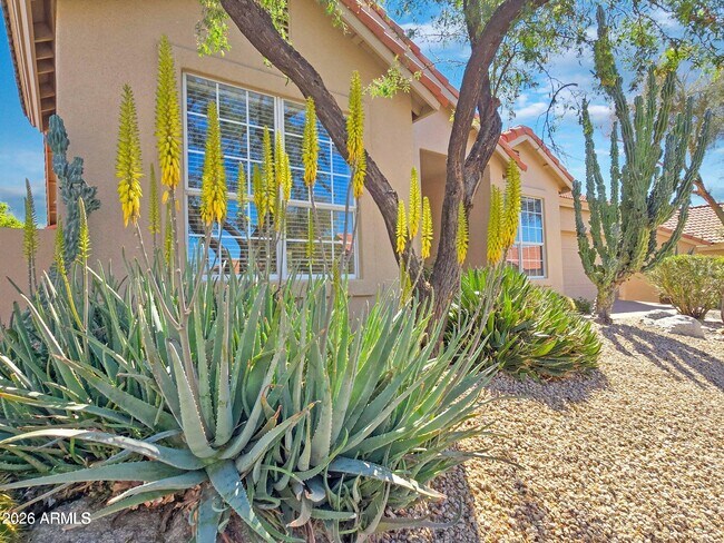 23831 N 74th St Scottsdale, AZ 85255 photo 3