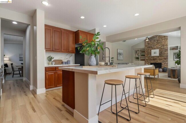822 Shasta Daisy Dr Brentwood, CA 94513 photo 4
