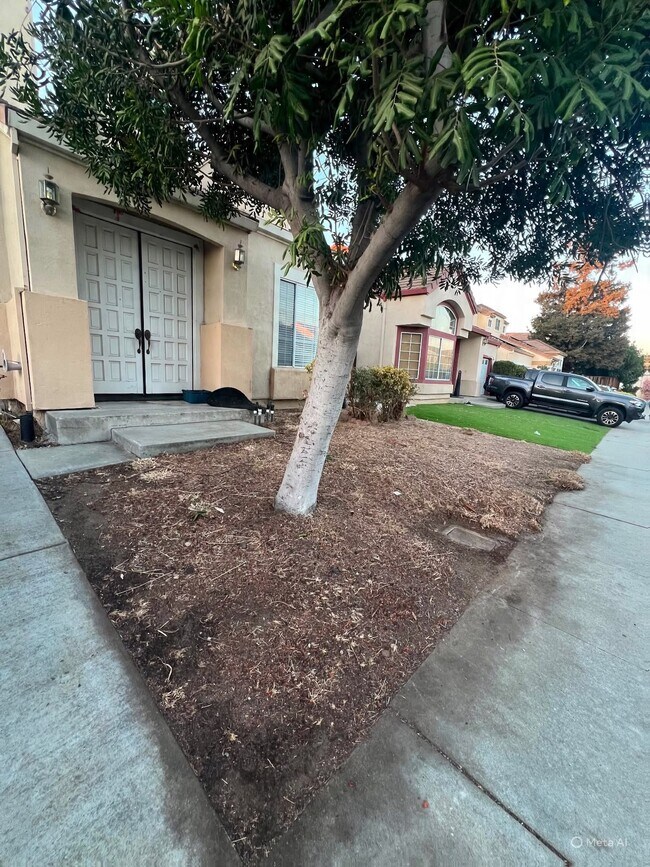 181 Summerwind Dr Milpitas, CA 95035