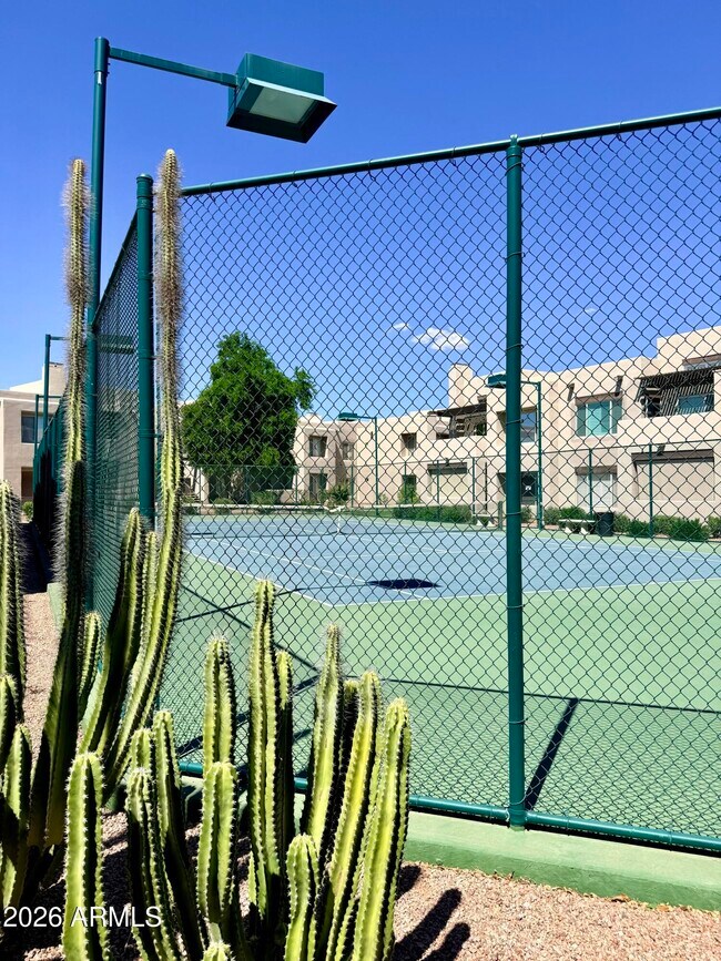 11260 N 92nd St Scottsdale, AZ 85260 photo 5
