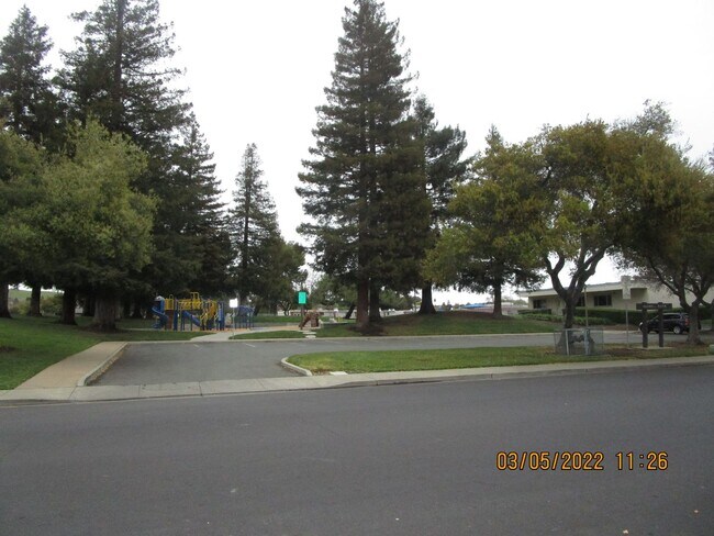 2827 Owens St photo 4
