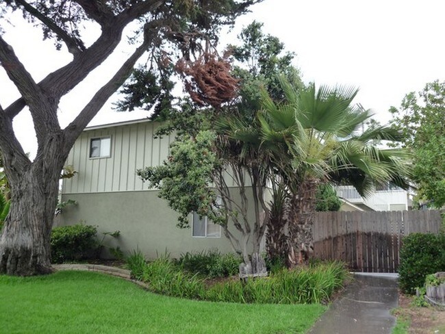 Ocean Palms Apartments photo 2