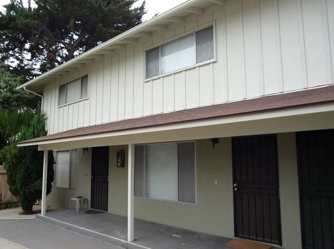 Ocean Palms Apartments photo 4